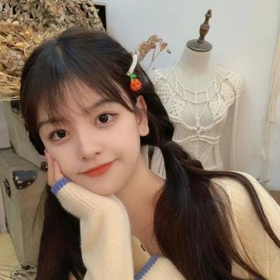 女导与强盗